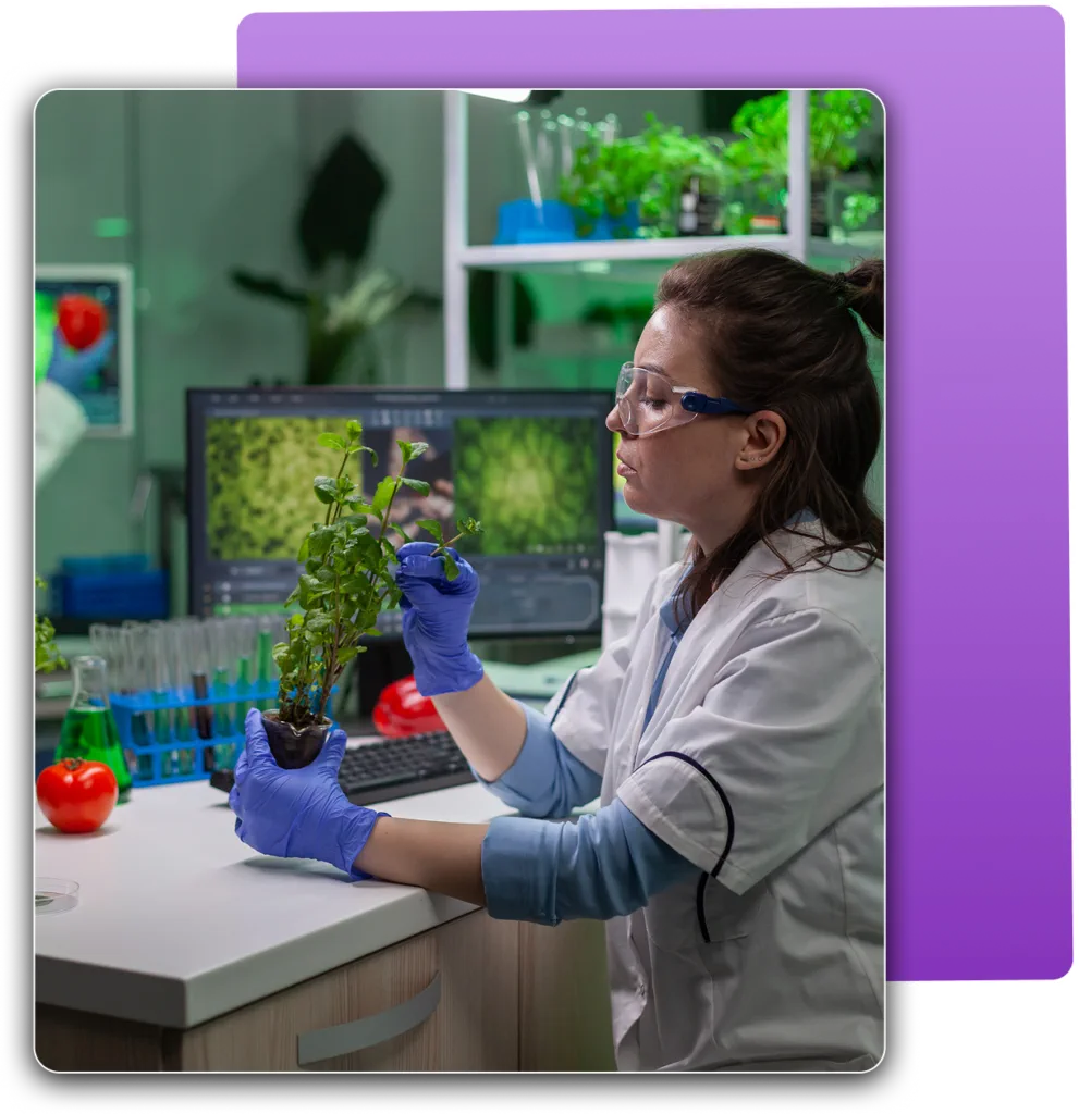 Curso orquídeas brasileiros EUA - treinamento completo para identificar fungos e insetos